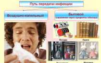 Вирус гриппа