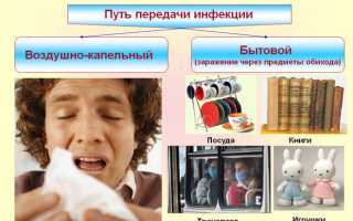 Вирус гриппа