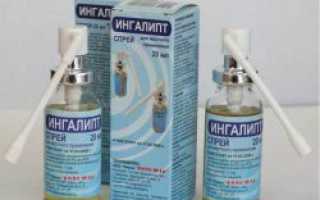 Ингалипт при беременности