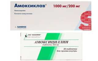 Сравнение Амоксиклава и Амоксициллина