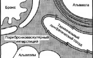 Научный журнал Научное обозрение