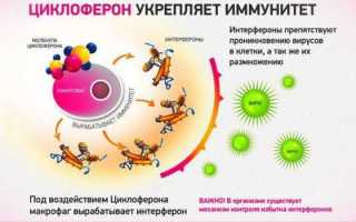 Инструкция по применению уколов циклоферона