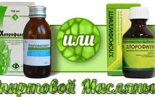 Хлорофиллипт (Chlorophyllipt)